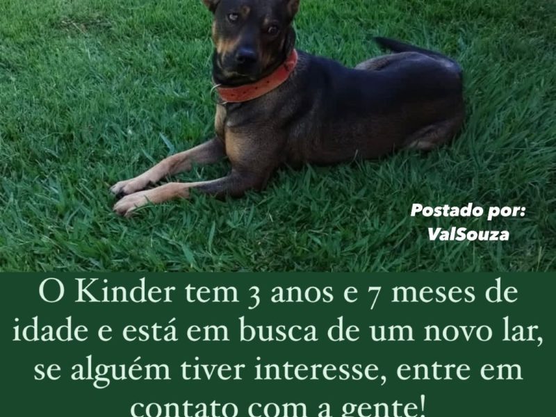 Kinder (Adoção Urgente)